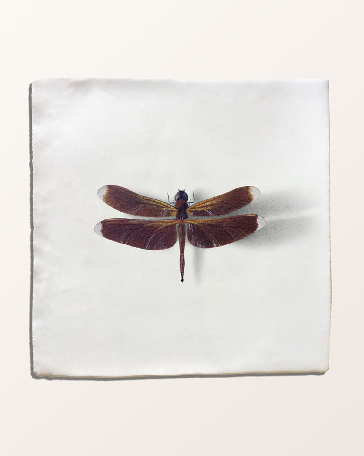 Ca’ Pietra Menagerie Ceramic by Michael Angove — official gallery image 13