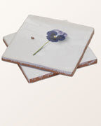 Ca’ Pietra Menagerie Ceramic by Michael Angove — official gallery image 56