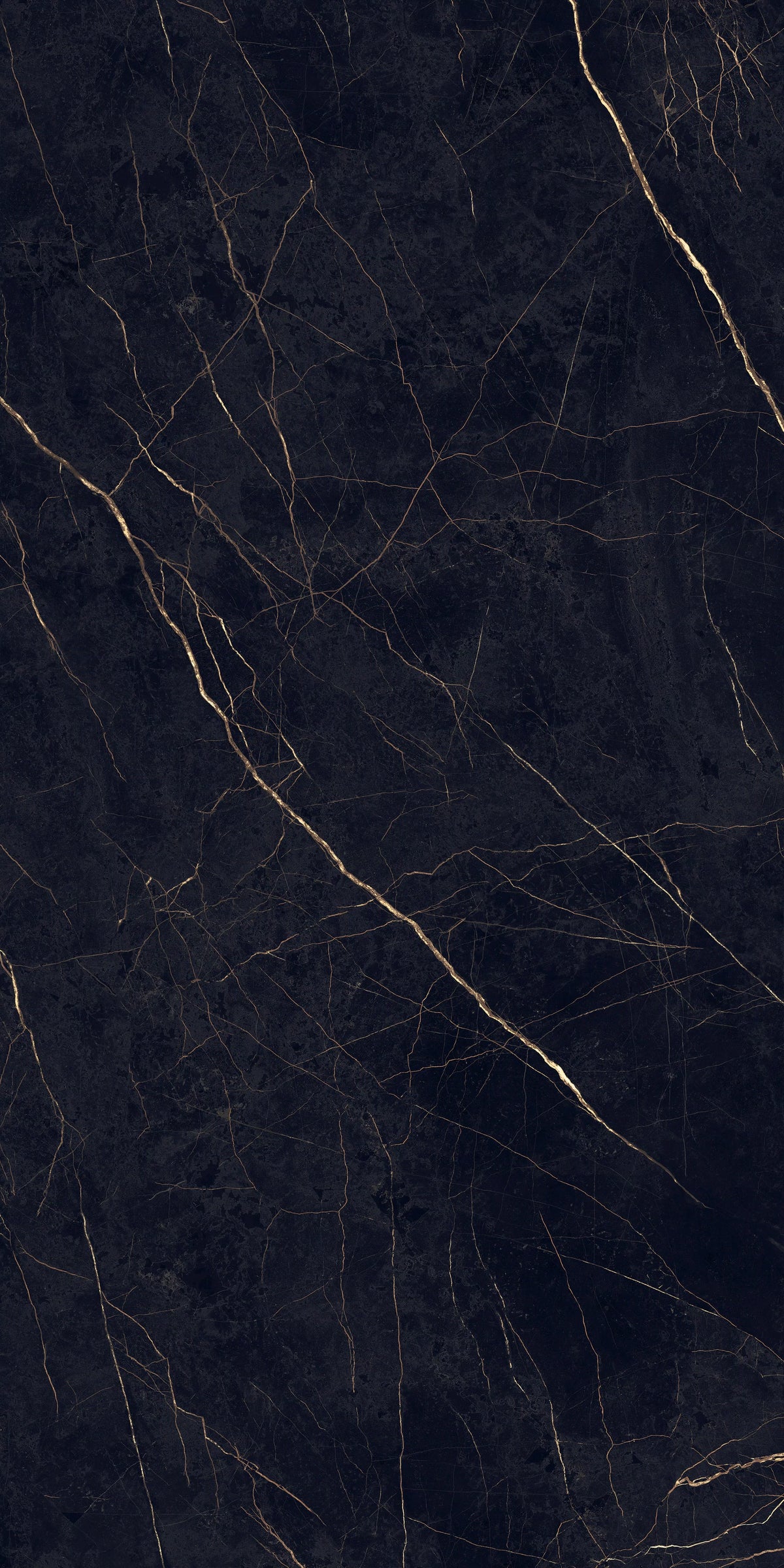 Flaviker Supreme Evo Noir Laurent colour swatch