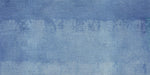 Net Patch Blue