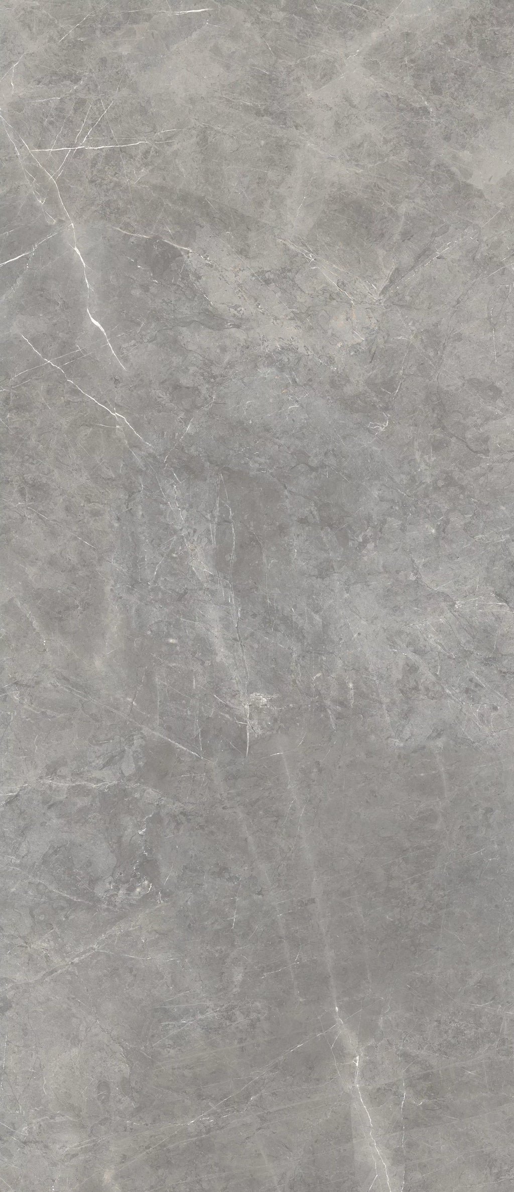 Flaviker Supreme Evo Grey Amani colour swatch