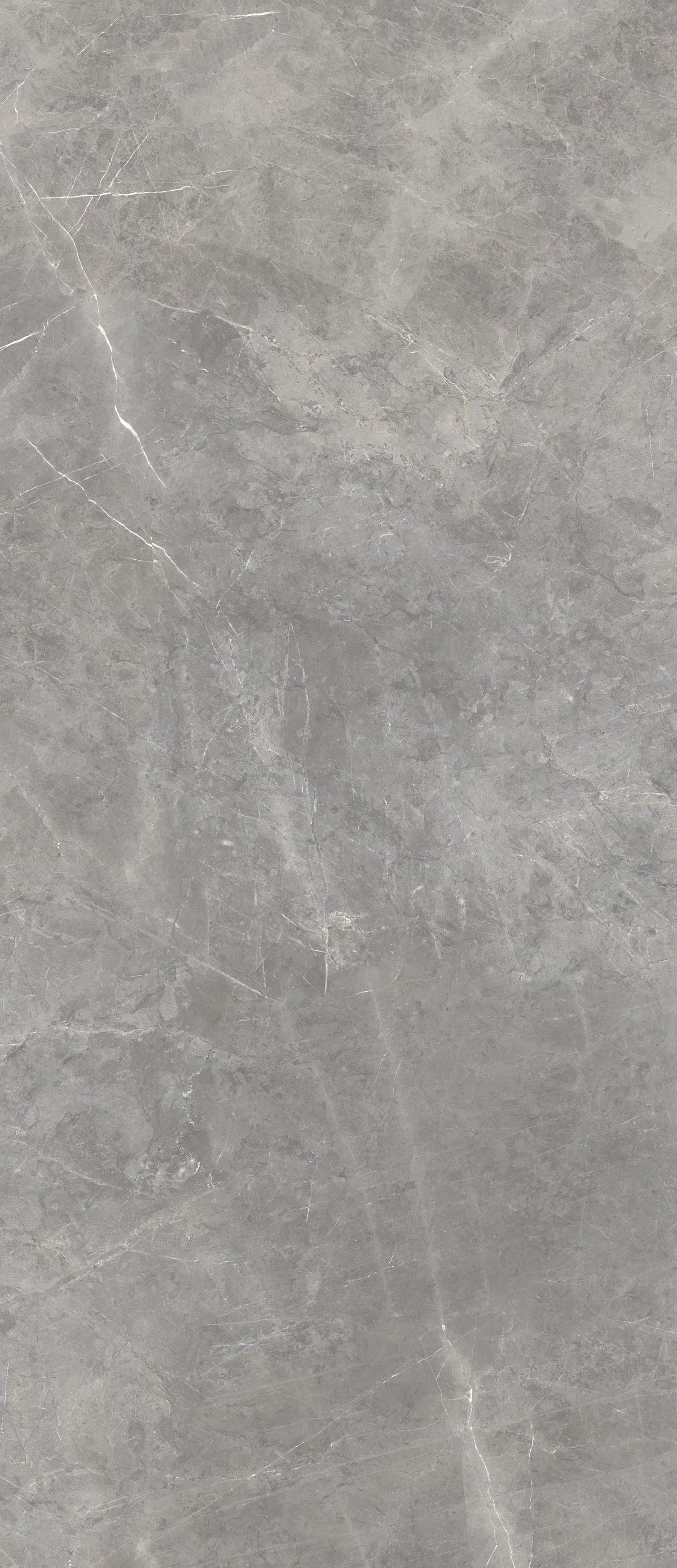 Flaviker Supreme Evo Grey Amani colour swatch