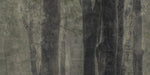 Woods