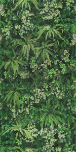Secret Garden