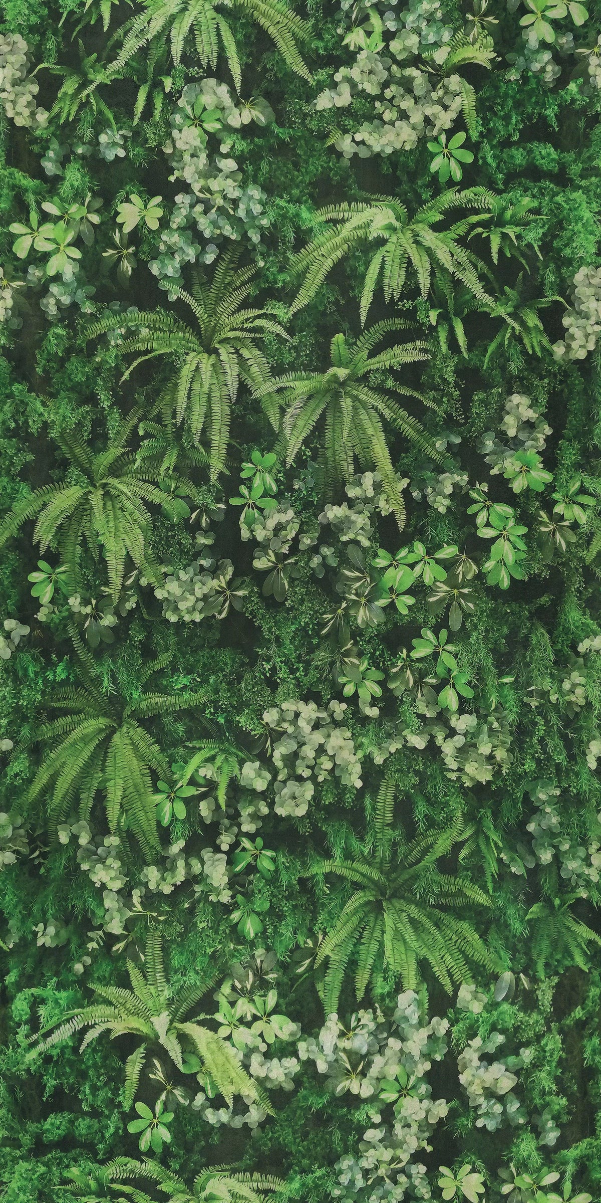 ABK Wide&Style On Demand Secret Garden colour swatch