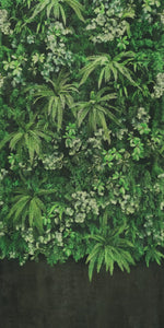 Secret Garden Wall