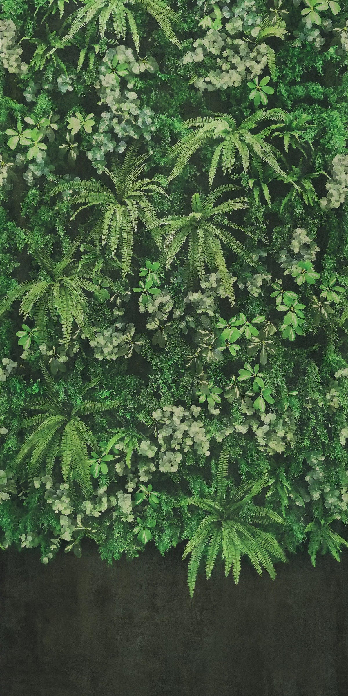 ABK Wide&Style On Demand Secret Garden Wall colour swatch