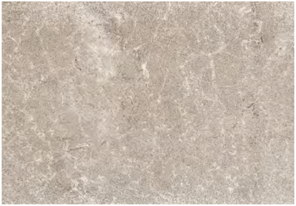 Coem Massive Stone Ash gresX2 20mm outdoor porcelain tile swatch