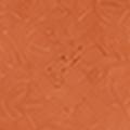 Tuscan Clay