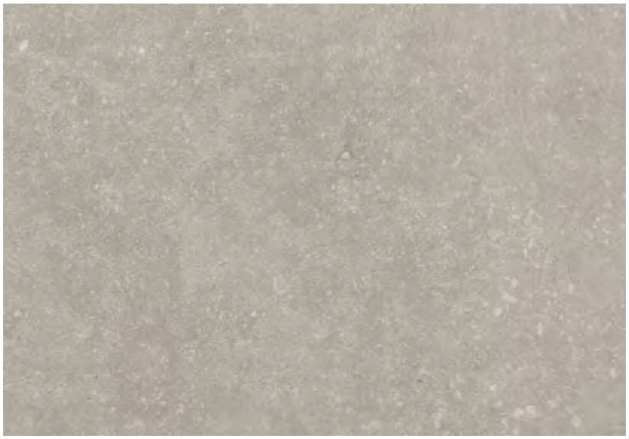Coem Namur Grigio gresX2 20mm outdoor porcelain tile swatch