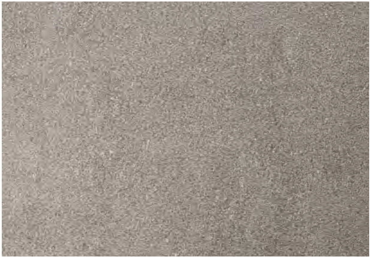 Coem Porfirica Grey gresX2 20mm outdoor porcelain tile swatch