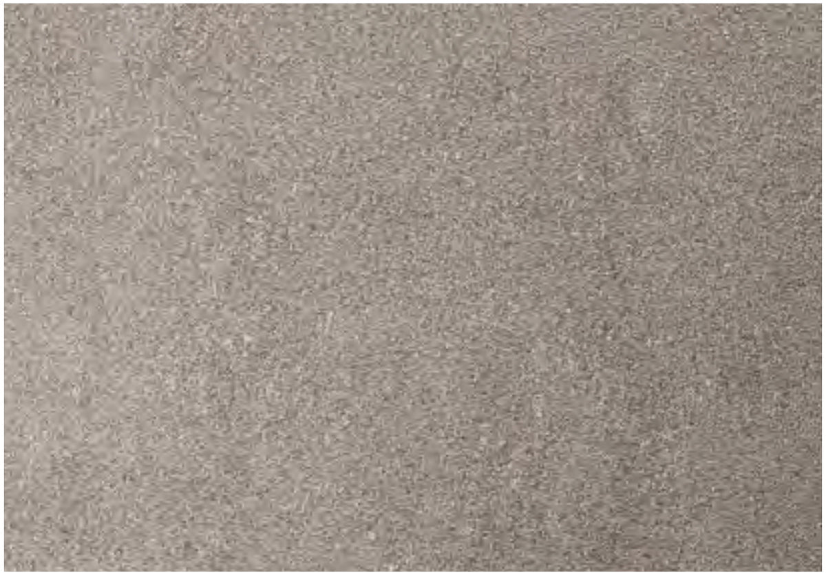 Coem Porfirica Grey gresX2 20mm outdoor porcelain tile swatch
