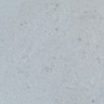 Gris Pastel