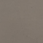 Gris Pale
