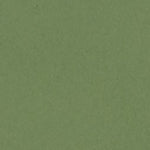 Menta