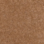 Terra